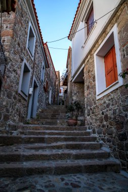 Kuzeydoğu Ege Denizi 'nde yer alan bir Yunan adası olan Lesbos veya Lesvos' a bakın