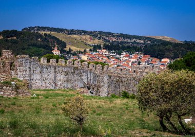 Kuzeydoğu Ege Denizi 'nde yer alan bir Yunan adası olan Lesbos veya Lesvos' a bakın