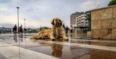 Anakkale 'den görüntü - Türkiye' nin kuzeybatısında Marmara bölgesinde, Çanakkale Boğazı üzerinde bir şehir