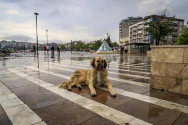 Anakkale 'den görüntü - Türkiye' nin kuzeybatısında Marmara bölgesinde, Çanakkale Boğazı üzerinde bir şehir