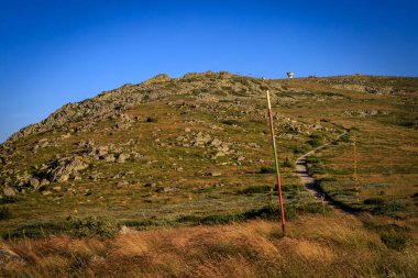 Akşam yürüyüşü Cherni Vrah tepesi, Vitosha dağı, Bulgaristan