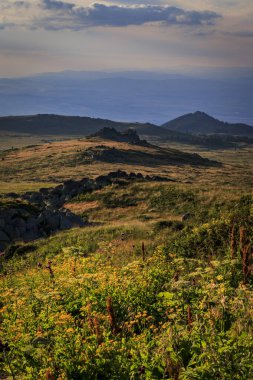 Akşam yürüyüşü Cherni Vrah tepesi, Vitosha dağı, Bulgaristan