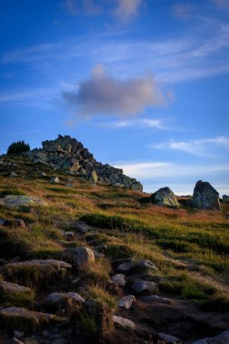 Akşam yürüyüşü Cherni Vrah tepesi, Vitosha dağı, Bulgaristan