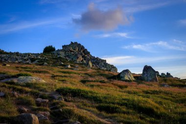 Akşam yürüyüşü Cherni Vrah tepesi, Vitosha dağı, Bulgaristan