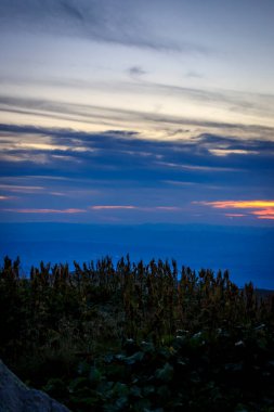 Akşam yürüyüşü Cherni Vrah tepesi, Vitosha dağı, Bulgaristan