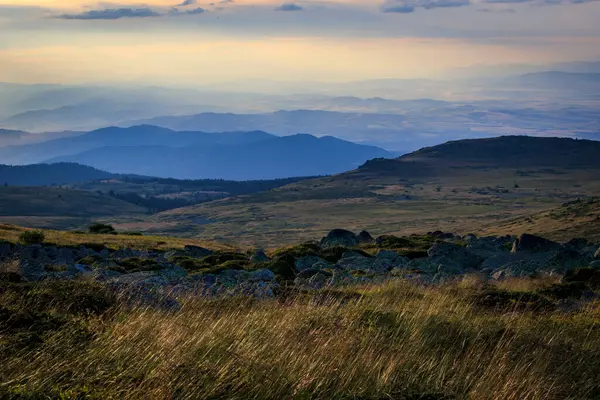 Akşam yürüyüşü Cherni Vrah tepesi, Vitosha dağı, Bulgaristan