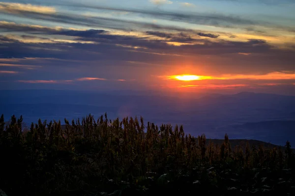 Вечірній Похід Вершину Чернігів Гора Вітоша Болгарія — стокове фото