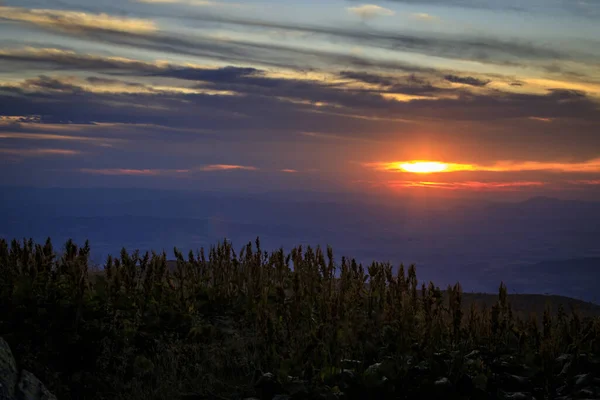 Вечірній Похід Вершину Чернігів Гора Вітоша Болгарія — стокове фото