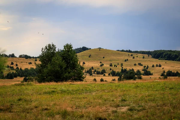 Vista Desde Zona Uzana Gabrovo Bulgaria — Foto de Stock