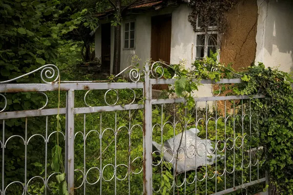 Blick Aus Der Gegend Von Uzana Gabrovo Bulgarien — Stockfoto