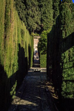 Alhambra, Granada, İspanya