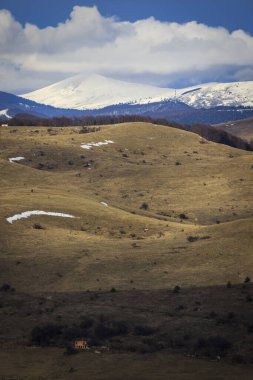Stolo rock fenomeninden bir görüntü. Ponor Dağı 'nın tacındaki mücevher. Sofya 'dan Montana' ya (Sofya 'ya yaklaşık 50 km uzaklıkta) Bulgaristan' ın Svoge kenti yakınlarında yer almaktadır.).