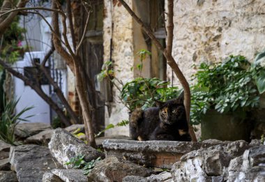 Yunanistan 'ın Kavala kentinden görüntü