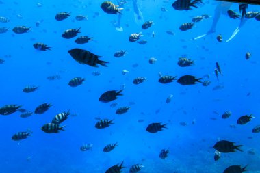 Hurghada, Kızıldeniz Valiliği, Mısır - 04.30.2024: Hurghada 'dan görüntü