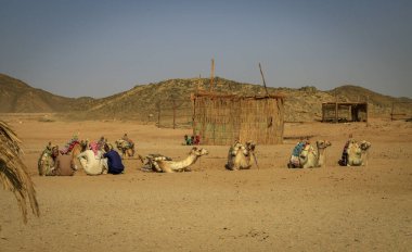 Hurghada, Kızıldeniz Valiliği, Mısır - 30.04.2024: Bedevi köyü