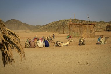 Hurghada, Kızıldeniz Valiliği, Mısır - 30.04.2024: Bedevi köyü
