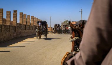 Edfu, Adfo, Edfo, Aswan Valiliği, Mısır