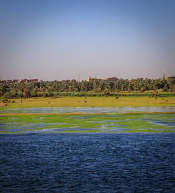 Nil nehrinde yelken açmak, Mısır