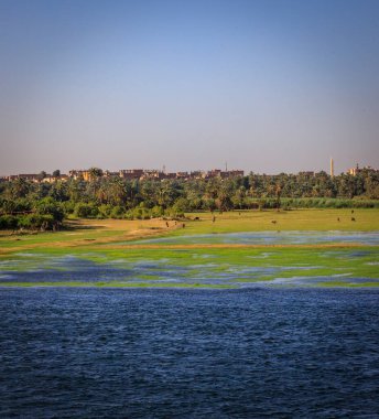 Nil nehrinde yelken açmak, Mısır