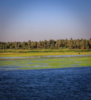 Nil nehrinde yelken açmak, Mısır