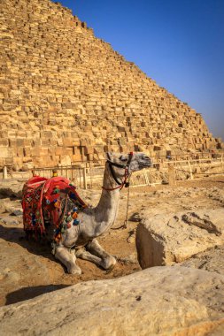 Kahire, Mısır - 05.03.2024: Giza Necropolis, Büyük Piramitler, Büyük Sfenks ve diğer tanınmış harabelerin yer aldığı ünlü arkeolojik alan.