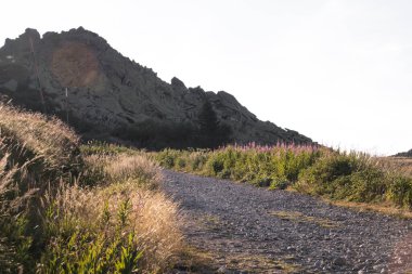 Yeni hazırlanmış yemek / yemek bir restoranda servis edilecek.