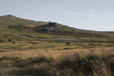 Yeni hazırlanmış yemek / yemek bir restoranda servis edilecek.