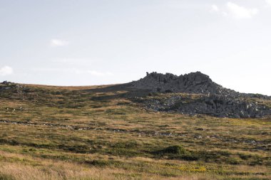 Yeni hazırlanmış yemek / yemek bir restoranda servis edilecek.