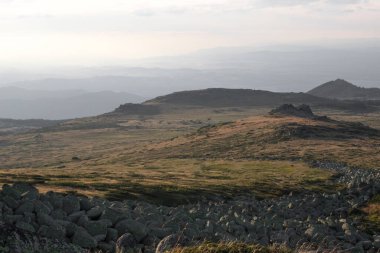 Yeni hazırlanmış yemek / yemek bir restoranda servis edilecek.