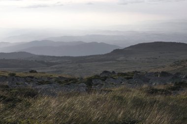Yeni hazırlanmış yemek / yemek bir restoranda servis edilecek.