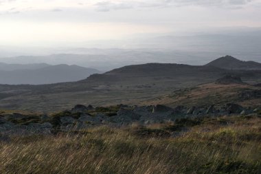 Yeni hazırlanmış yemek / yemek bir restoranda servis edilecek.