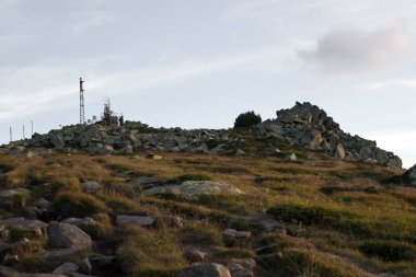Yeni hazırlanmış yemek / yemek bir restoranda servis edilecek.