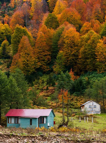 Sonbaharda Borcka Karagol çevresindeki ağaçlar ve ahşap evler. Sarı, turuncu, yeşil ve mavi karışımı. Doğa ve tatil eğitimi için uygun.