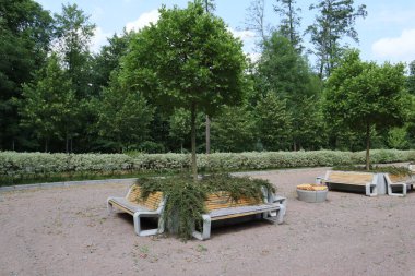 Parktaki banklar. Sakin ol..