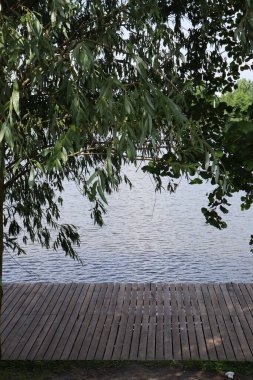 Ormandaki manzaralı göl. Idyllic bir yer.