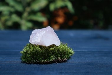 Rose quartz and moss on a blue wooden table.