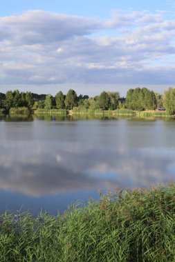 Göl, ağaçlar ve bulutlu gökyüzü manzaralı.