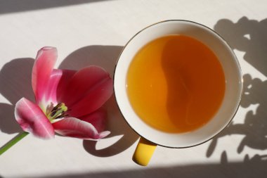 Sabah güneşinde masasında gül lalesi olan yeşil çay.. 