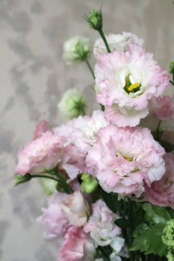 Pink eustoma, close up. Delicate bouquet of eustoma flowers. clipart