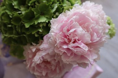 Pembe şakayık ve yeşil ortanca çiçekleri yakın.