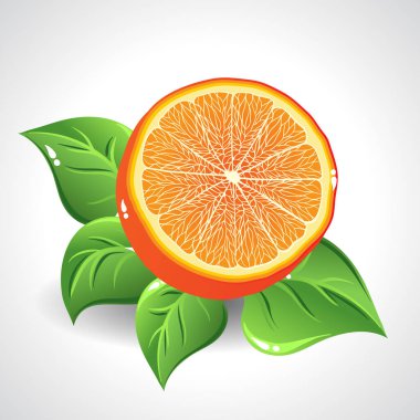 Beyaz arka planda yeşil yapraklı lezzetli portakal..