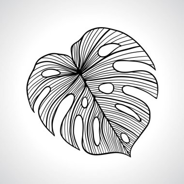 siyah makro palmiye yaprağı izole.