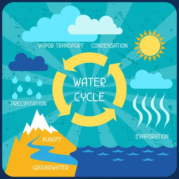 stock vector The water cycle. Poster with nature infographics in flat style.