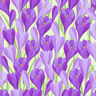 Bahar çiçek Çiğdem doğal seamless modeli.