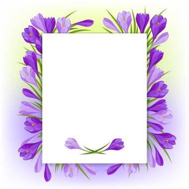 Bahar çiçek Çiğdem doğal arka plan.