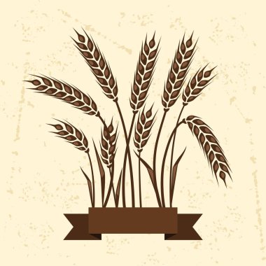 arka plan ile kulak buğday.