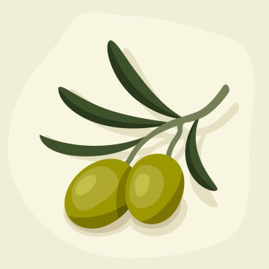 Olgun taze zeytin dalı stilize vektör çizim.