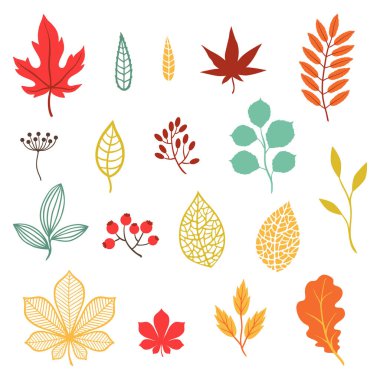 çeşitli stilize sonbahar yaprakları ve öğeleri kümesi.