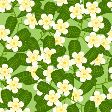 Stilize plumeria çiçekler ile Dikişsiz tropikal desen.