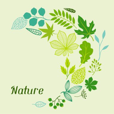 Tebrik kartları için stilize yeşil yaprakların arka plan.